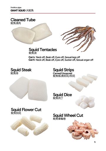 Catalog page, squid cuts and cleaned tube